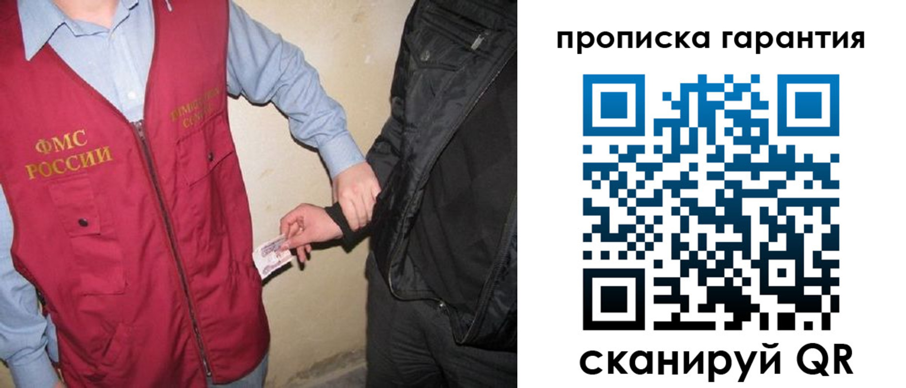 прописка для школы в Дмитрове